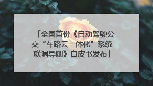 全国首份《自动驾驶公交“车路云一体化”系统联调导则》白皮书发布